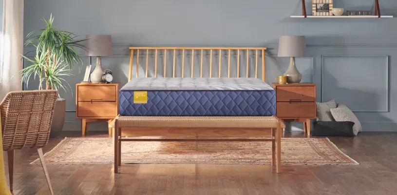 sealy-bridgerton-53100640